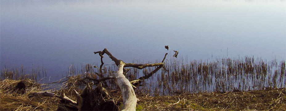 Bild der Ferienwohung